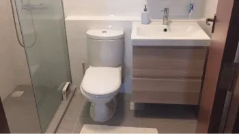 Toilet repairs